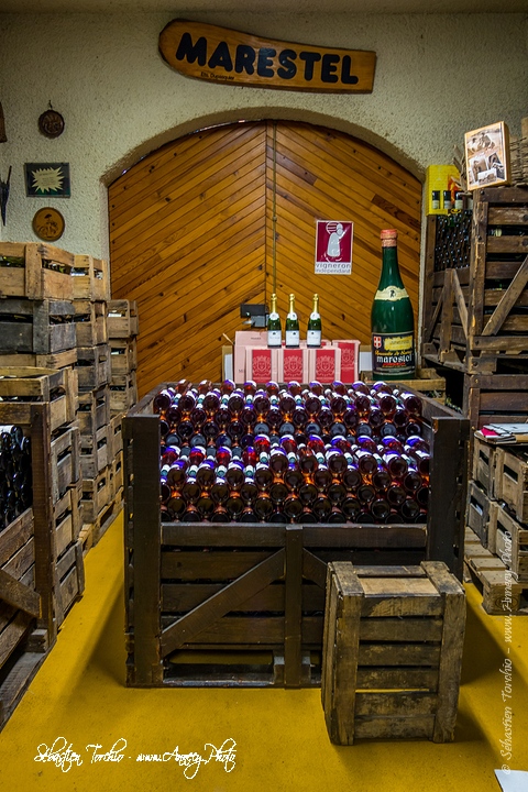 Cave et Vins de Savoie, Domaine Dupasquier à Jongieux © Sébastien TORCHIO, www.Annecy.Photo