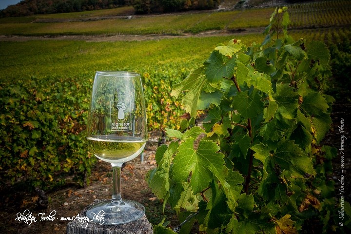 Découverte et dégustation des vins de Savoie au cœur des vignobles de Jongieux © Sébastien TORCHIO Découverte et dégustation des vins de Savoie au cœur des vignobles de Jongieux © Sébastien TORCHIO
