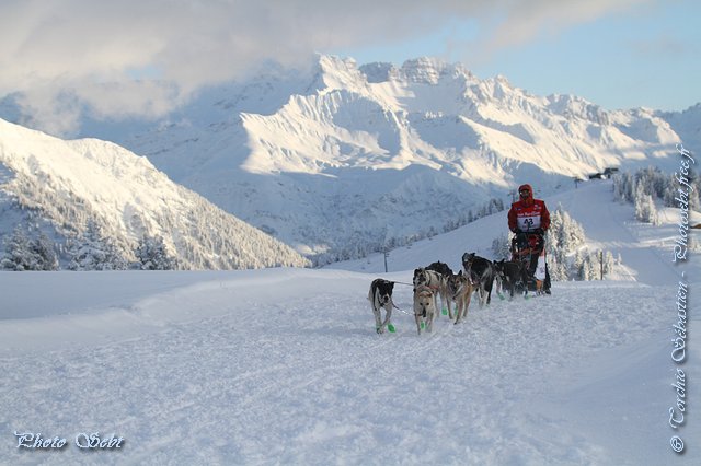 La Grande Odyssée Savoie Mont-Blanc fidèle aux 2 Savoies - © TORCHIO Sébastien