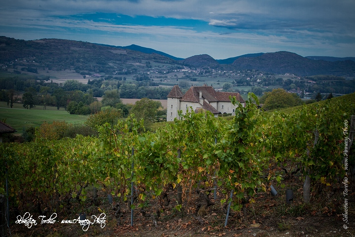 Chambres d’hôtes Château de La Mar au cœur des vignobles de Jongieux © Sébastien TORCHIO, www.Annecy.Photo