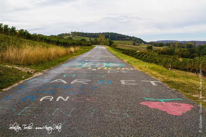 Route gravée par le passage Tour de France au coeur des vignobles de Jongieux © Sébastien TORCHIO